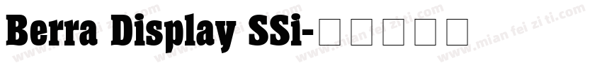 Berra Display SSi字体转换